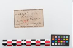 Etiketten zu Eisengürtelring (NHMW-PRAE-024285)